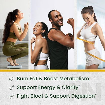 Nobi Nutrition Green Tea Fat Burner Gummies for Weight Loss | Metabolism Boost & Appetite Suppressant with Green Coffee Bean and Garcinia Cambogia | Pills to Burn Belly Fat for Women & Men