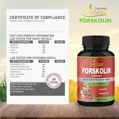 Organic Cadane Forskolin Supplement Capsules - 5in1 Concentrated with Turmeric Curcumin, Arjuna, Garcinia Cambogia, and Green Tea - 150 Capsules for 5 Months Supply