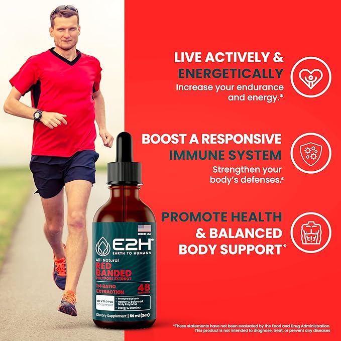 E2H Red Banded Polypore Extract - Mushroom Supplement Formula for Immune Support, Digestive Health, Energy and Natural Immunity Boost - Non-GMO, Vegan (3 Bottles)
