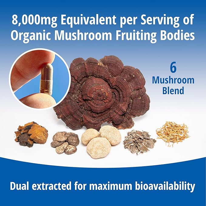 ENCAPSULATE 6 Mushroom Blend – Reishi, Chaga, Turkey Tail, Cordyceps, Lion’s Mane & Shiitake 8:1 Mushroom Extract – Nootropic & Adaptogen Mushroom Supplement for Gut, Brain & Immune Support - 60 Caps