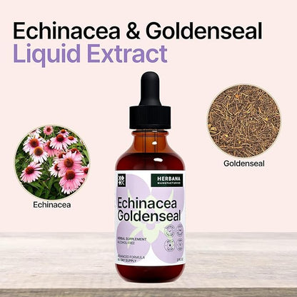 Echinacea and Goldenseal 2 fl oz Liquid Extract - Natural Herbal Supplement - Immune Support Drops - Enhance Sleep | Boost Energy - High Potency - 45-Day Supply
