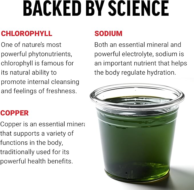 FORCE FACTOR Chlorophyll Liquid Body Deodorizing Supplement, Freshens Breath and Body Naturally, Made with No Artificial Sweeteners or Colors, Non-GMO, Natural Mint Flavor, 16 oz.