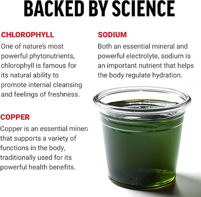FORCE FACTOR Chlorophyll Liquid Body Deodorizing Supplement, Freshens Breath and Body Naturally, Made with No Artificial Sweeteners or Colors, Non-GMO, Natural Mint Flavor, 16 oz.