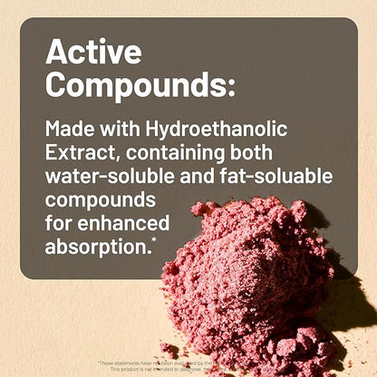 NatureWise Cranberry Pills for Women - Extract Equal to 12,500mg* Cranberry Supplement + Vitamin C & E - Cleansing Urinary Tract & Bladder - Vegan, Non-GMO, Sugar-Free - 360 Capsules[6-Month Supply]