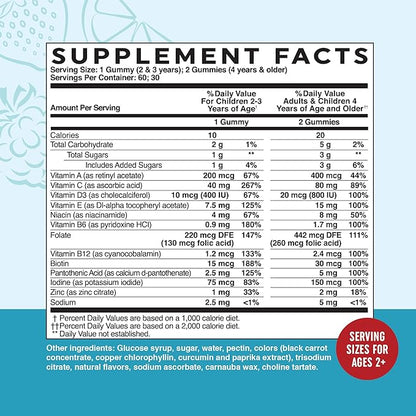Kids Multivitamin Gummies | Vitamins A, B, C, D & Zinc for Immunity, Growth & Development | Daily Multivitamins for Children Ages 2+ | Non-GMO, Third-Party Tested Mixed Fruit Supplement | 60 Gummies