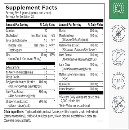 Designs for Health GI Revive Gut Health Powder - L Glutamine & Citrus Pectin for Digestive Health + Slippery Elm, Marshmallow Root & Cat's Claw for Healthy Intestinal Function (28 Servings)