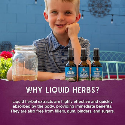 WishGarden Herbs Daily Immune for Kids - Daily Immune Support Formula for Children, Herbal Immune Defense & Immune System Booster with Black Elderberry & Echinacea, Kids Immune Support Supplement, 2oz