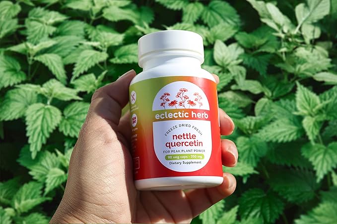 Eclectic Herb - Nettle Quercetin Capsules | Non-GMO, Vegan | 90 CT