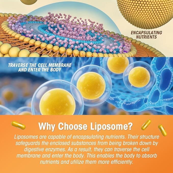 Liposomal Turmeric Curcumin Supplement with High Potency - 95% Curcuminoids Extract Enhanced with Pepper & Moringa for Optimal Health Support Enhanced Bioavailability for Joint Support