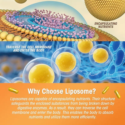 Liposomal Turmeric Curcumin Supplement with High Potency - 95% Curcuminoids Extract Enhanced with Pepper & Moringa for Optimal Health Support Enhanced Bioavailability for Joint Support
