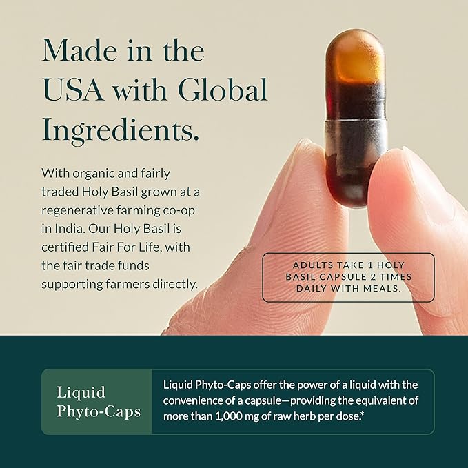 Gaia Herbs Holy Basil Leaf - Helps Sustain a Positive Outlook and Balance in Times of Stress - an Adaptogenic Ayurvedic Herb - 60 Vegan Liquid Phyto-Capsules (30-Day Supply)