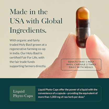 Gaia Herbs Holy Basil Leaf - Helps Sustain a Positive Outlook and Balance in Times of Stress - an Adaptogenic Ayurvedic Herb - 60 Vegan Liquid Phyto-Capsules (30-Day Supply)