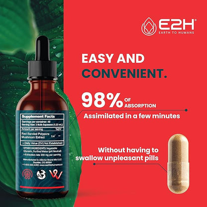 E2H Red Banded Polypore Extract - Mushroom Supplement Formula for Immune Support, Digestive Health, Energy and Natural Immunity Boost (2 Bottles)