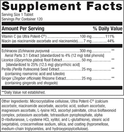 Metagenics Echinacea Synergy - Immune Support Supplement* - Supports Respiratory System* - Echinacea, Perilla Seed & Vitamin C - Non-GMO & Vegetarian - 120 Tablets