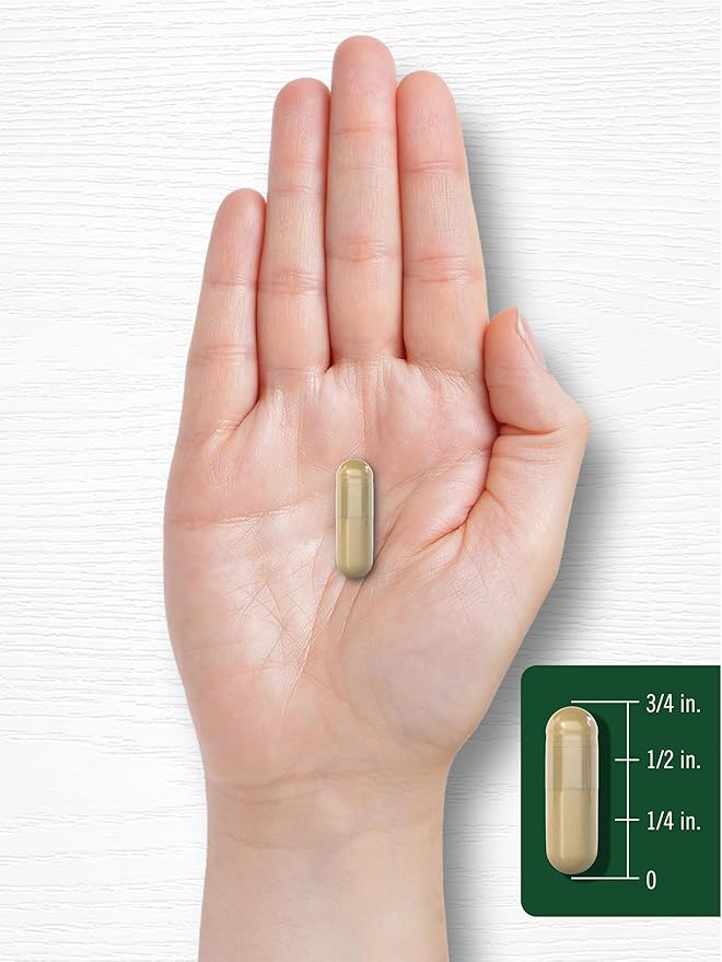Carlyle Bacopa Monnieri Capsules | 180 Capsules | Gluten Free Supplement