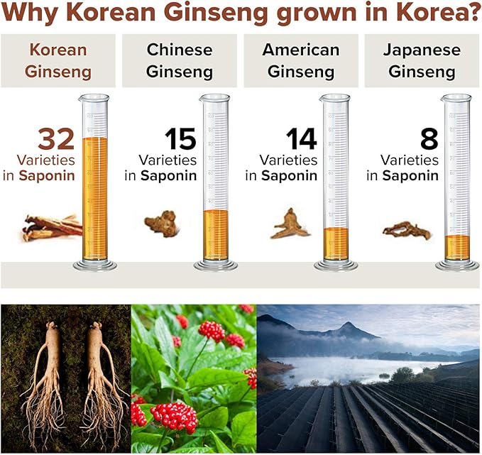 Korean Red Ginseng Extract 3000mg Everyday, Saponin Hanppuri, Immune Booster and Focus Supplement for Brain Enhancement with Ginsenoside Rg3, Panax Ginseng 6 Years Root, 30Packets in 1 Set