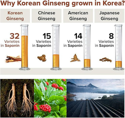 Korean Red Ginseng Extract 3000mg Everyday, Saponin Hanppuri, Immune Booster and Focus Supplement for Brain Enhancement with Ginsenoside Rg3, Panax Ginseng 6 Years Root, 30Packets in 1 Set