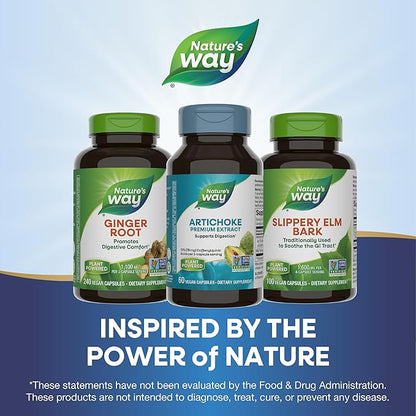 Nature's Way Artichoke Premium Extract, Supports Digestion*, Non-GMO Project Verified, Vegan, Gluten-Free, 60 Capsules (Packaging May Vary)