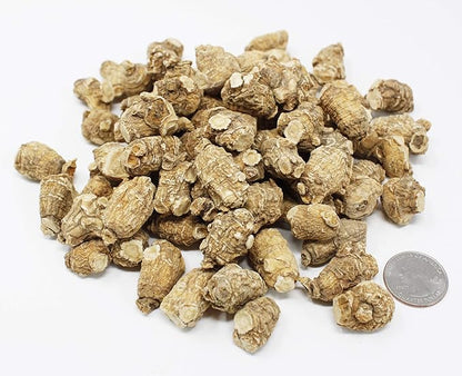 DOL Hand Selected Cultivated Wisconsin American Ginseng Pearl Ginseng 花旗参/西洋参 精选珍珠参 - in Box. (Small 4oz/Box)