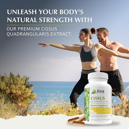 Jiva Botanicals Cissus Quadrangularis Capsules 550 mg - High Potency Cissus Powder Extract for Normal Bone Health & Normal Joint Support - Made in The USA - 120 Capsules
