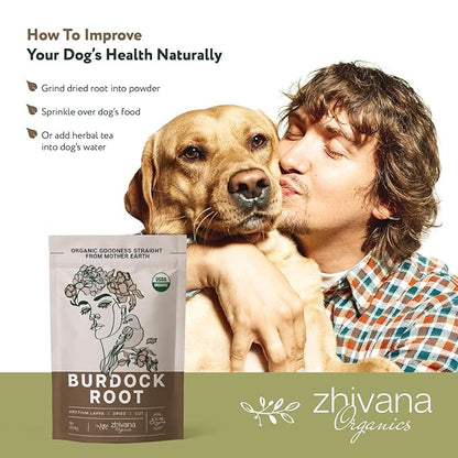 Premium Burdock Root Organic (16 oz.) - Greater Burdock Root Tea Loose - Raíz De Bardana Organica 우엉차 - Bulk Herbal Tea for Liver Cleanse, Body Detox, Digestion