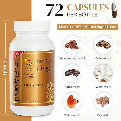 Vita Green Reishi Mushroom Capsules for Energy, Memory, and Immune Support – Pure Reishi Supplement with Natural Antioxidants for Daily Wellness and Energy – 72 Capsules