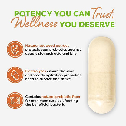 Probulin Total Care Probiotic Supplement, Daily Gut, Digestive, and Immune Health Probiotics Capsules for Men and Women, 20 Billion CFU, Vegan, 30 Count Bottle