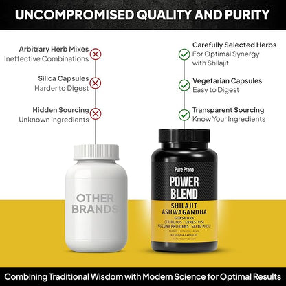 Dynamic Vitality Shilajit Ashwagandha Gokshura Supplement - Himalayan Pure Shilajit Capsules with Tribulus (Gokshura), Extra Strength Ashwagandha & Safed Musli | Himalayan Shilajit Supplement