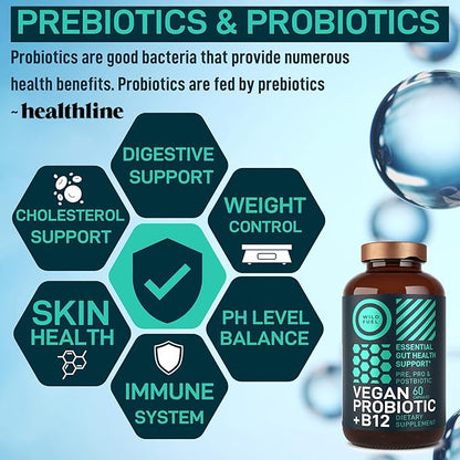 Vegan Probiotic Plus B12-22 Billion CFU Synbiotics Prebiotics and Probiotics for Digestive Health, IBS, Mood Support - B12 with FOS Pre Pro Post Biotics for Women & Men - 60 Gluten-Free Capsules
