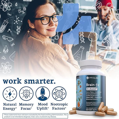 Brain-fx™ Nootropic Brain Energy Memory & Focus Supplement, Lions Mane Extract, L Theanine, Methyl B12 5MTHF B Complex, Alpha GPC Choline, Bacopa Monnieri, Ginseng, Cordyceps, Huperzine A BDNF Factor