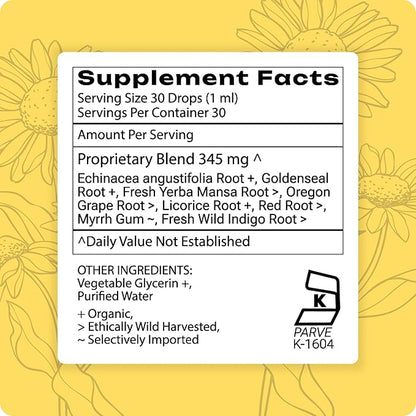 Grama Wellness Echinacea Goldenseal Tincture, Alcohol-Free Liquid Extract Immune Support Supplement, Organic Echinacea & Goldenseal Root Drops | Made in USA - 30 Servings