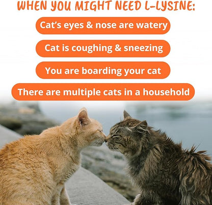 Under the Weather Pet Daily Cat L-Lysine | Boost Immune System Reduce Respiratory Symptoms | Maintain Normal Immune System Response | 60 Star Shaped Soft Chews