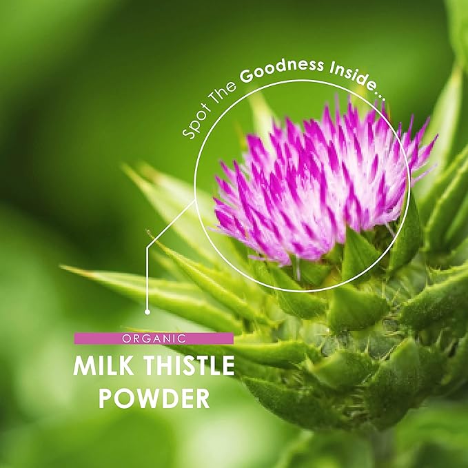 Organic Milk Thistle Powder 150g - Source of Cleansing Silymarin - Made from Cold-Pressed Milk Thistle - Vegan, Raw, Non-GMO.