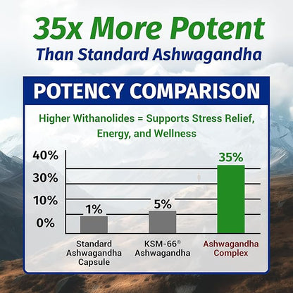 1 Body Ashwagandha Complex with Shoden® – Clinically Supported Stress Relief, Sleep, and Energy Support – Vegan, Non-GMO Supplements – 60 Capsules
