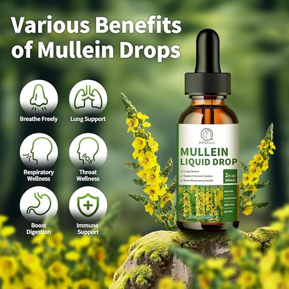 (2 Pack) Mullein Drops for Lungs, 16-in-1 Mullein Leaf Extract 800MG for Lung Cleanse, Respiratory, Immunity, with Quercetin, Marshmallow, Black Cumin Seed, Elderberry, Non-GMO, 2 Fl Oz