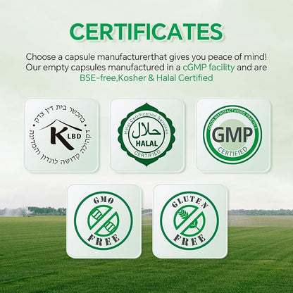 Size 0 Capsules Empty Vegan Plant Based Clear (500 Count) Gluten Free, Non-GMO, Halal Certified Pill Caps Filling Kit with 2 Spoons for Vegetarian DIY Your Own Supplements