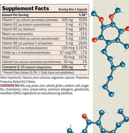 ANDREW LESSMAN Coenzyme Q-10 200 mg 60 Capsules - Essential for Energy Production and Optimum Key Organ Function, Anti-Oxidant Support, Depleted by Aging, Plus B-Complex. Easy to Swallow Capsules