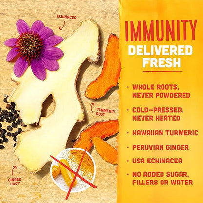 Vive Organic Immune Support Shot, Cold-Pressed Ginger, Turmeric, & Echinacea, Gluten Free, Vegan, Immunity Boost Original, 2 Fl Oz (Pack of 12)