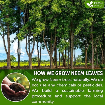 FreshDrinkUS, Premium 20oz Neem Leaf Powder, 100% Natural and Pure from Neem Leaves Dried, for Hair and Skin, No Additives, No Gluten, No Sugar, Vegan