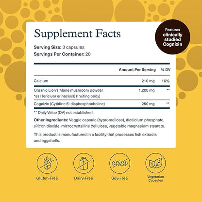 Youtheory Lion's Mane Plus - Mushroom Supplement with Cognizin - Offers Focus & Brain Support* - 60 Vegetarian Capsules