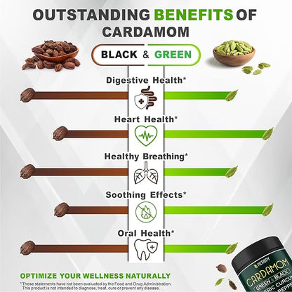 Bundle 5in1 Ginger Supplement 100 Count & 4in1 Cardamom Supplement 100 Count - Support Digestion, Heart Health and Natural Wellness