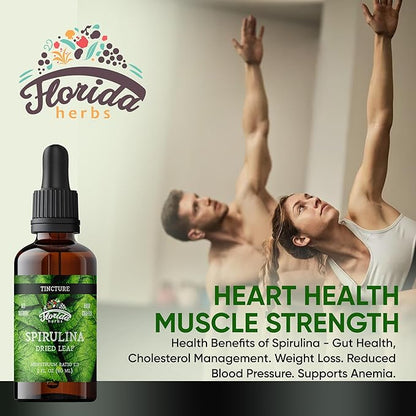 Spirulina Tincture, Organic Spirulina Extract (Arthrospira Platensis) Herbal Supplement, Non-GMO in Cold-Pressed Organic Vegetable Glycerin, 700 mg, 2 oz (60 ml)