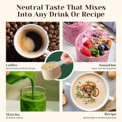 Venture Pal Mushroom Powder – 16 Mushroom Blend with Adaptogens for Coffee & Tea | Ashwagandha, Lion’s Mane, Rhodiola | 10:1 Extract from 100% Fruiting Bodies | 90 Servings