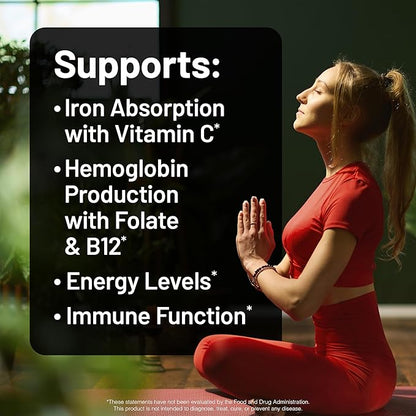 NatureWise Vegan Iron Supplement for Women & Men - Gentle on Stomach High Absorption - Coated Iron Bisglycinate Tablets + Vitamin C, Methyl B12, Folate & Organic Food Blend - 90 Tablets[90-Day Supply]