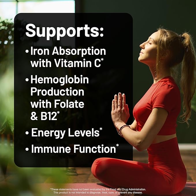 NatureWise Vegan Iron Supplement for Women & Men - Gentle on Stomach High Absorption - Coated Iron Bisglycinate Tablets + Vitamin C, Methyl B12, Folate & Organic Food Blend - 30 Tablets[30-Day Supply]