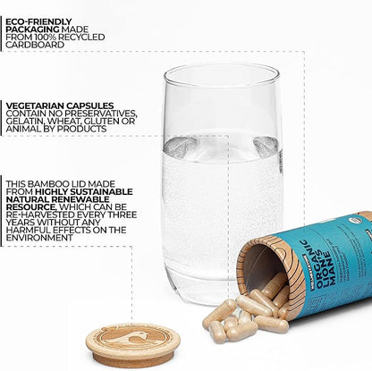 Lions Mane Mushroom Organic Supplement (Hericium Extract) 60 Veggie Caps - Immune Support Supplement; Improve Cognitive Function + Promote Vitality, Protect Nerve Cells