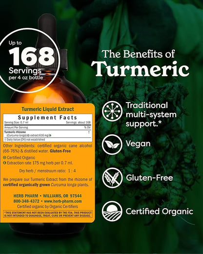 Herb Pharm Certified Organic Turmeric Root Liquid Extract for Musculoskeletal System Support - 4 oz