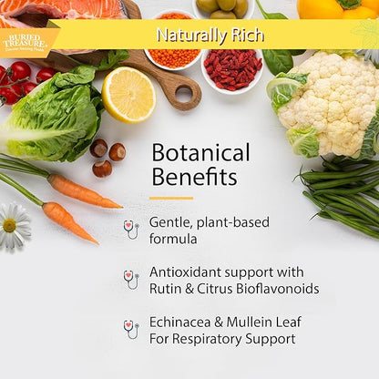 Buried Treasure Childrens ACF Advanced Immune Support, Cherry Flavor, 16oz w/Dose Cup, Immune Booster Supplement for Kids, Liquid Herbal Immunity Formula w/Vitamin C Elderberry Enchinacea Zinc