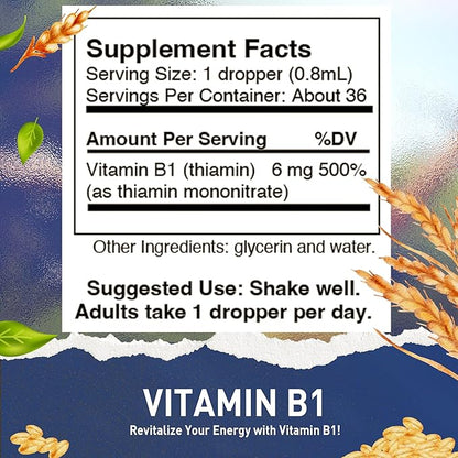 HoneyCombs Vitamin B1 Supplement (Thiamine) Liquid Drops - High Potency Thiamine B1 Supplement for Men & Women - Maintain Nervous System, Energy & Overall Health - Vegan Liquid B Vitamins (1 Fl oz)