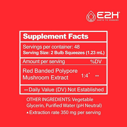 E2H Red Banded Polypore Extract - Mushroom Supplement Formula for Immune Support, Digestive Health, Energy and Natural Immunity Boost (2 Bottles)